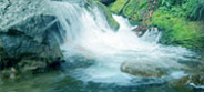 Water Resource