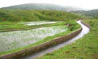 Outlet Supplying Water to Portion of the Paddy Field from the Left Bank Canal