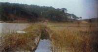 Main Canal