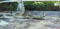 Headwork with a Portion of Foot Bridge