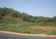 A View of part of the Command Area