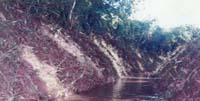Earthen Canal