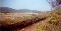 Canal and portion of the Command Area